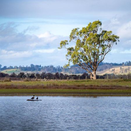 Blackwood Park Cottages Mole Creek Exterior foto