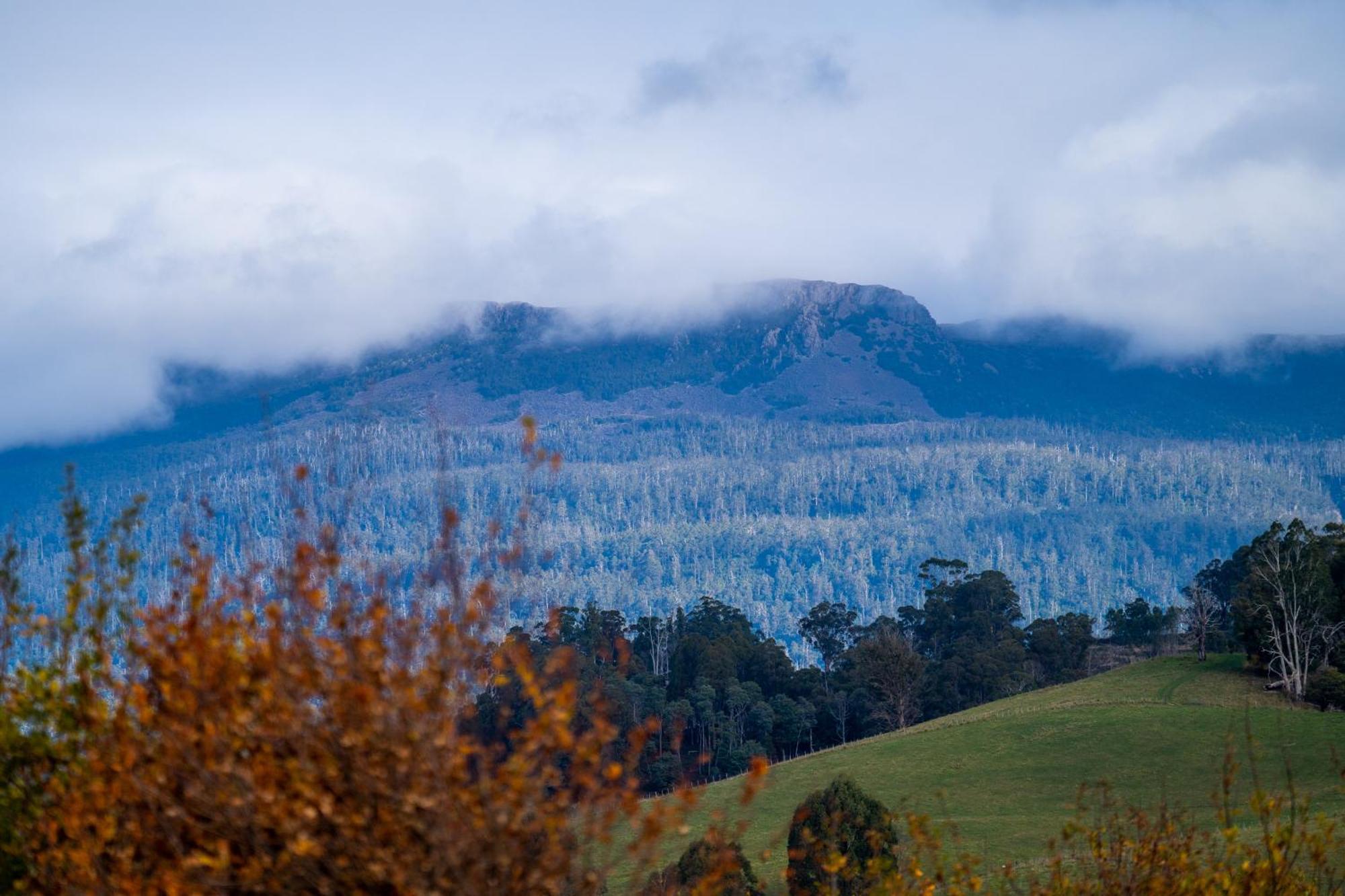Blackwood Park Cottages Mole Creek Exterior foto