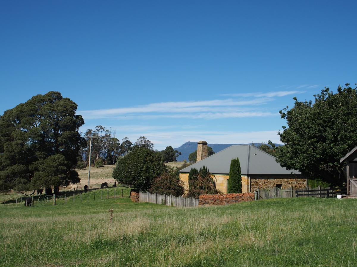 Blackwood Park Cottages Mole Creek Exterior foto